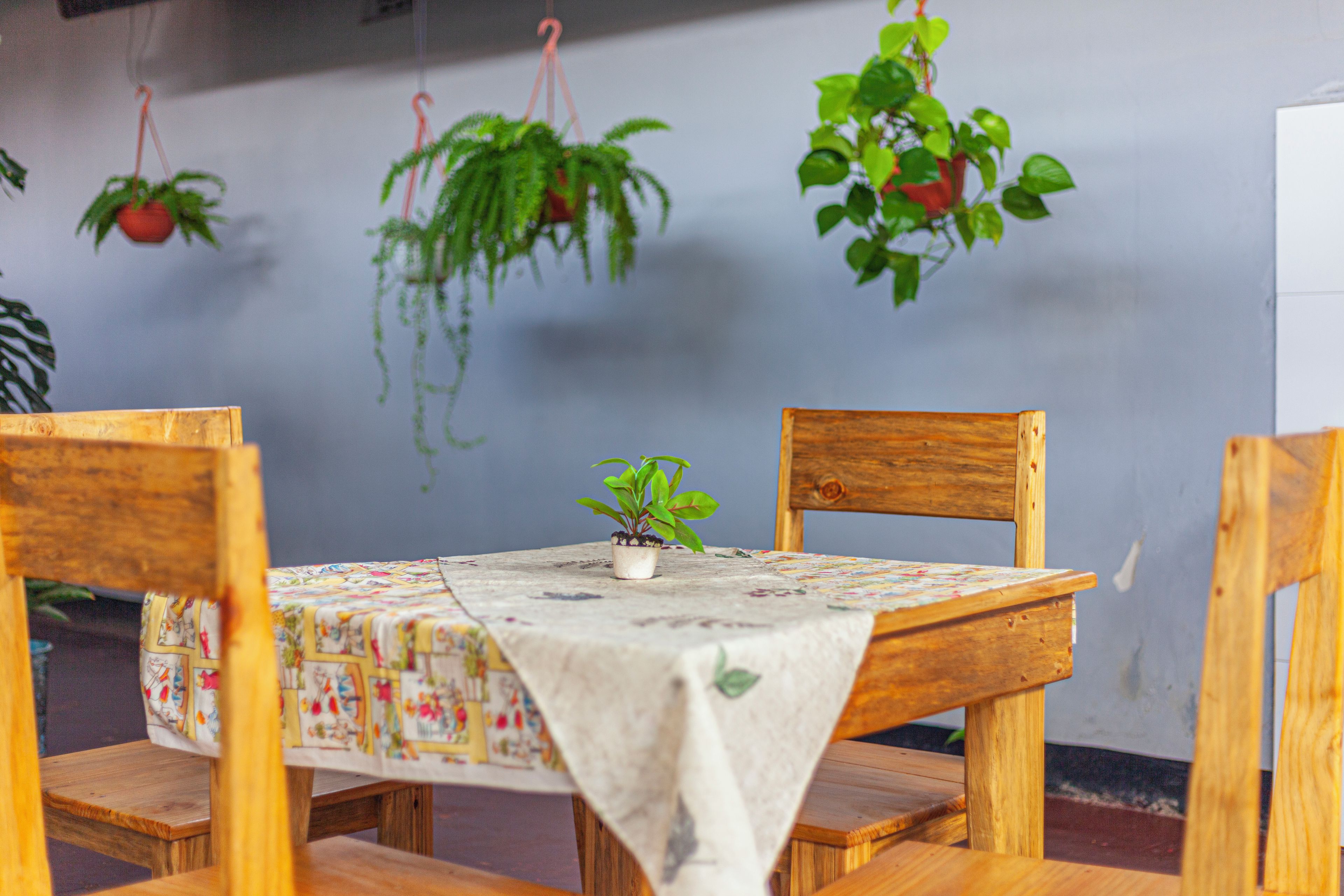 A wooden table with a floral tablecloth, surrounded by wooden chairs, in a room with hanging plants.