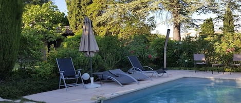 Une piscine entourée de verdure et d’arbres, avec des chaises longues et des parasols.