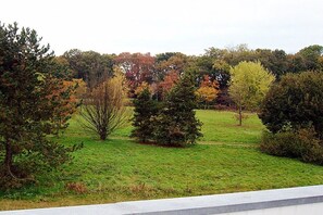 Eine Wiese mit Bäumen und einer Betonbarriere.