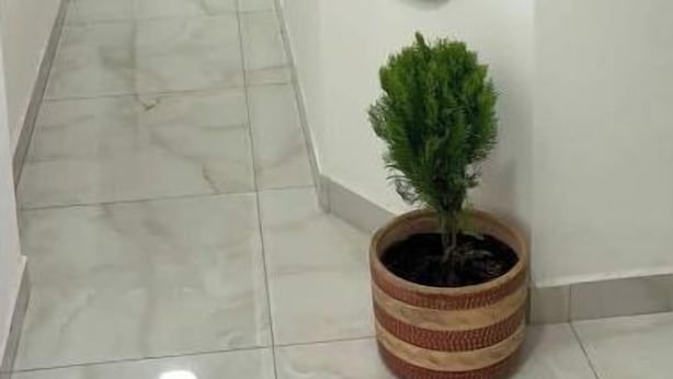 Unclassified image, 1 of 18, button - Vrbo Property (Medellín)