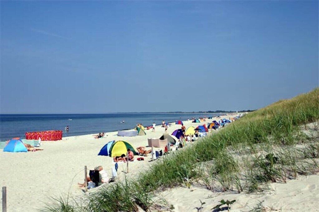A beach with tents and people.