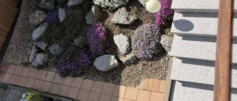 外部細節