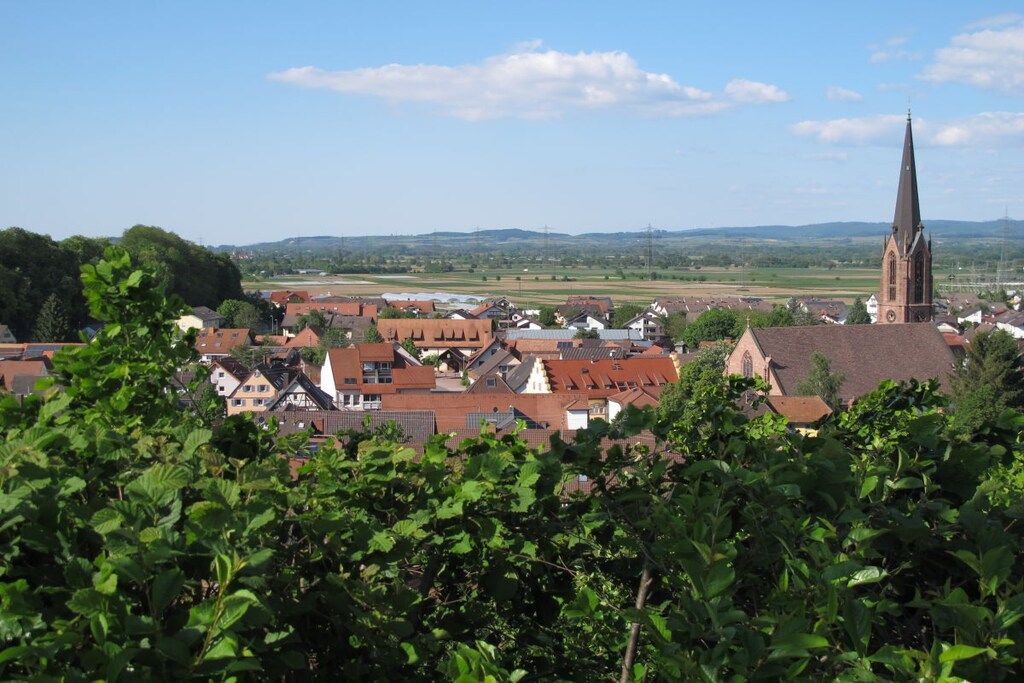 Eine Stadt mit traditioneller Architektur, darunter eine Kirche mit einem hohen Turm, umgeben von Wohnhäusern und Grünflächen.