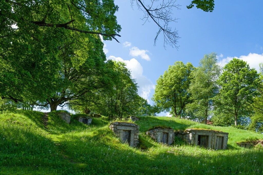 A grassy landscape with trees and stone structures.