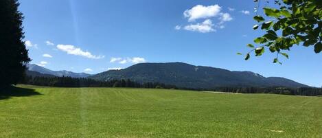 Ein grünes Feld mit einem Bergkamm im Hintergrund.