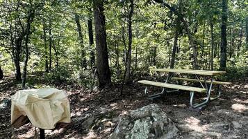 A picnic table in a forested area with a covered table nearby.