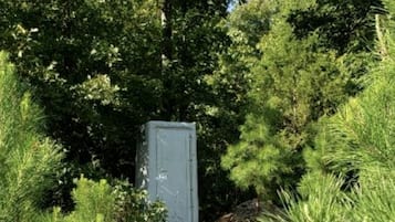 A utility box in a wooded area with dense trees and shrubs.