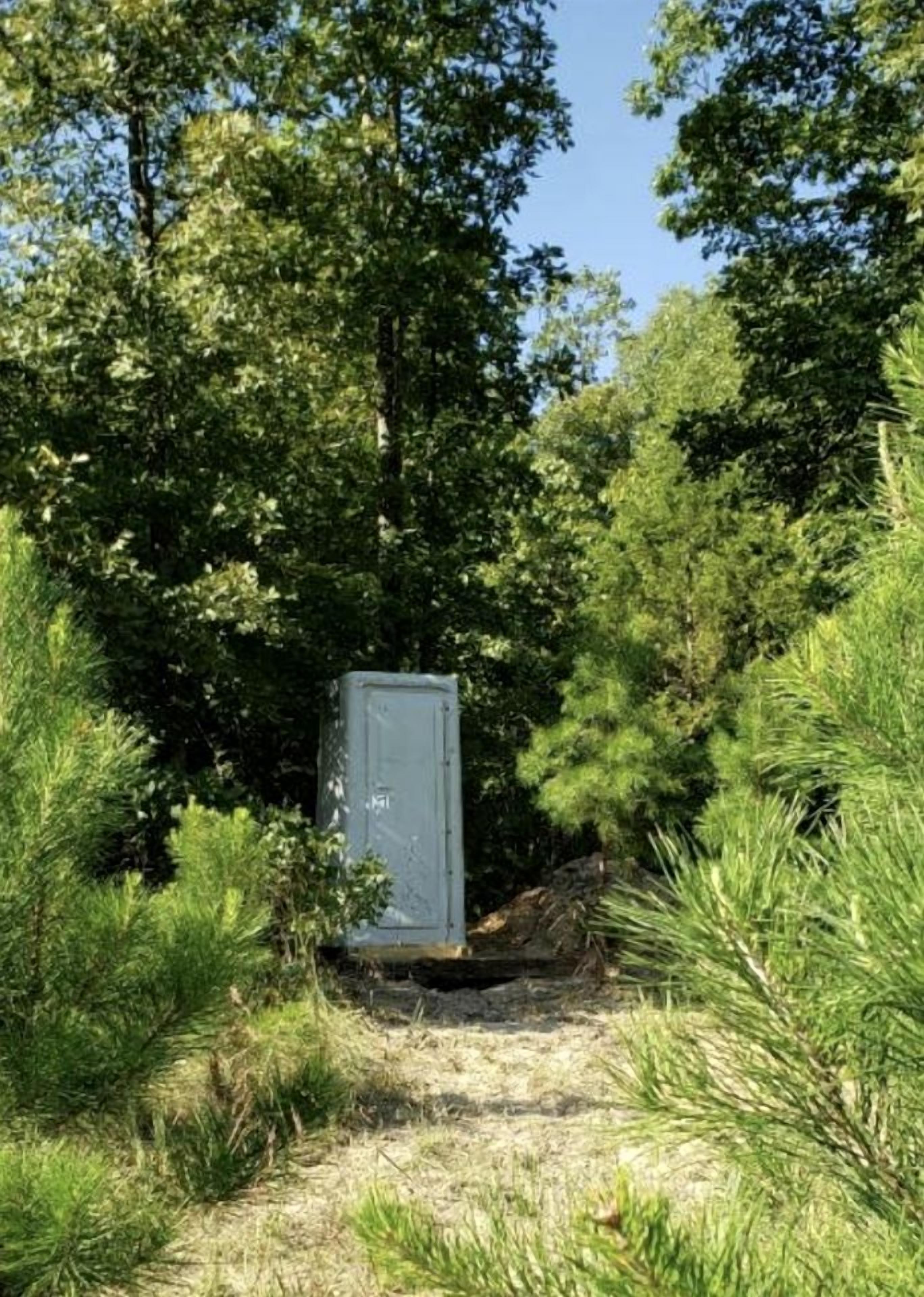 Caixa de utilidades em área arborizada com árvores e arbustos densos.
