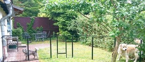 A fenced outdoor area with a dog, a tree, and a building in the background.