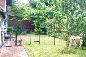 A fenced outdoor area with a dog, a tree, and a building in the background. - Wolf with wood-burning stove (Zorge)