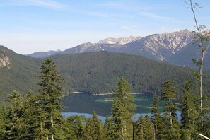 Un paisaje montañoso con un lago y un bosque denso.