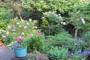 Un jardin agrémenté de diverses plantes et arbres à fleurs.