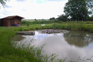 A wooden cabin with a dock extending into a pond surrounded by grass and reeds. - Holiday apartment with 1 bedroom (Osteel)