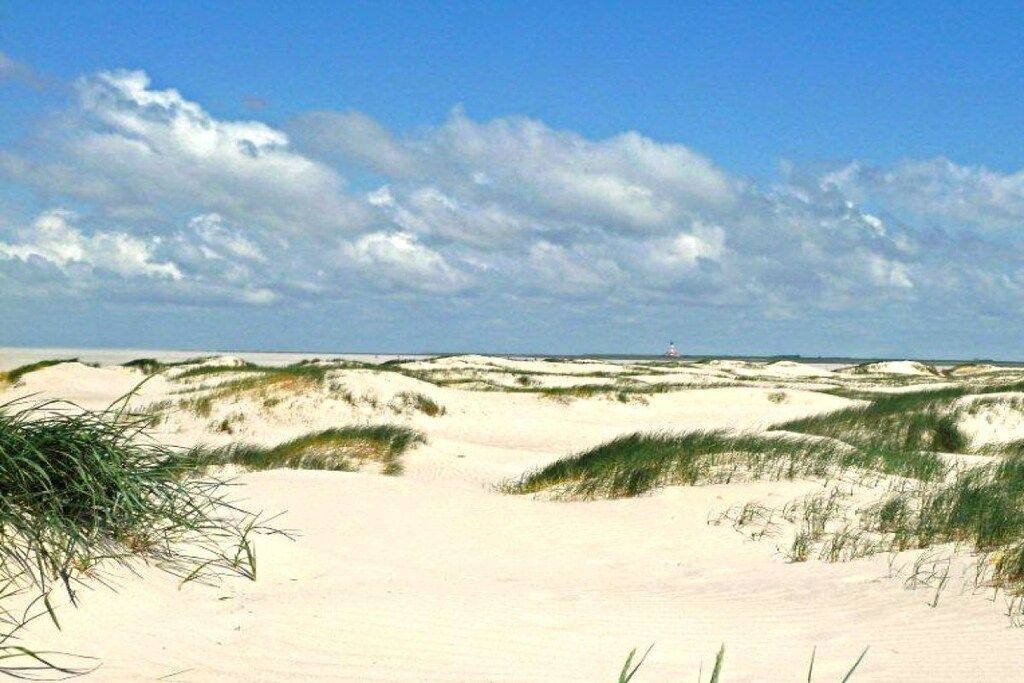 Een strand met duinen en schaarse begroeiing.