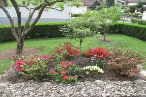 Un jardin aménagé avec différents arbustes et un arbre, le tout bordé d’une murette en pierre.