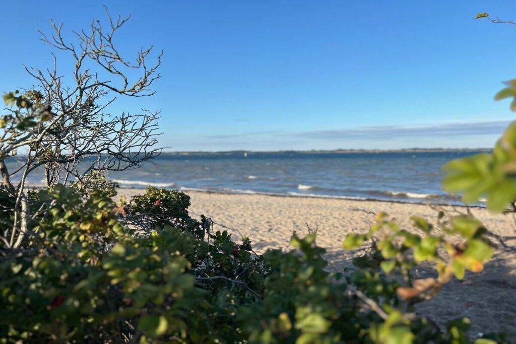 A beach with clear skies, calm water, and vegetation in the foreground.