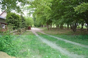 Un sentier rural, bordé d’une clôture en bois d’un côté et d’arbres de l’autre.