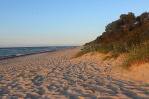 Una playa arenosa con cielo despejado y una línea de árboles al fondo.