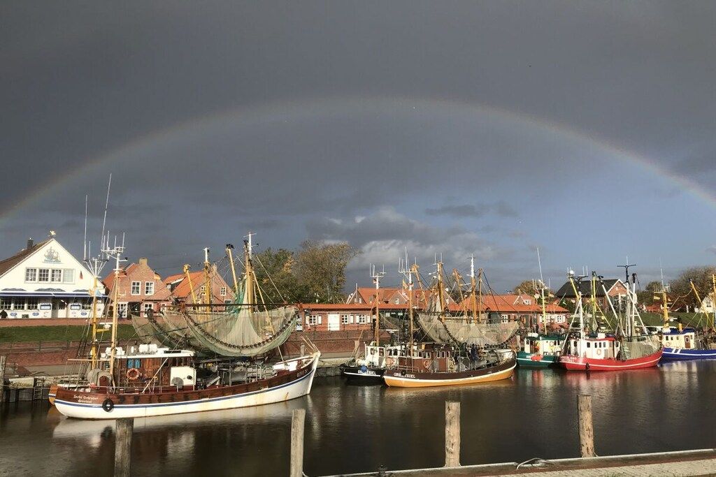 Ein Hafen mit vertäuten Booten, ein Regenbogen am Himmel und Gebäude im Hintergrund.