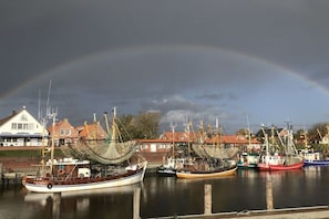 Ein Hafen mit vertäuten Booten, ein Regenbogen am Himmel und Gebäude im Hintergrund.