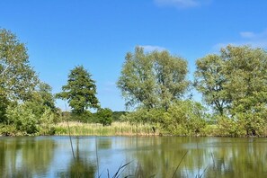 Un lago tranquilo rodeado de árboles y vegetación.