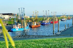 A harbor with several fishing boats docked along the water. - Holiday apartment with 1 bedroom (Wurster Nordseeküste)