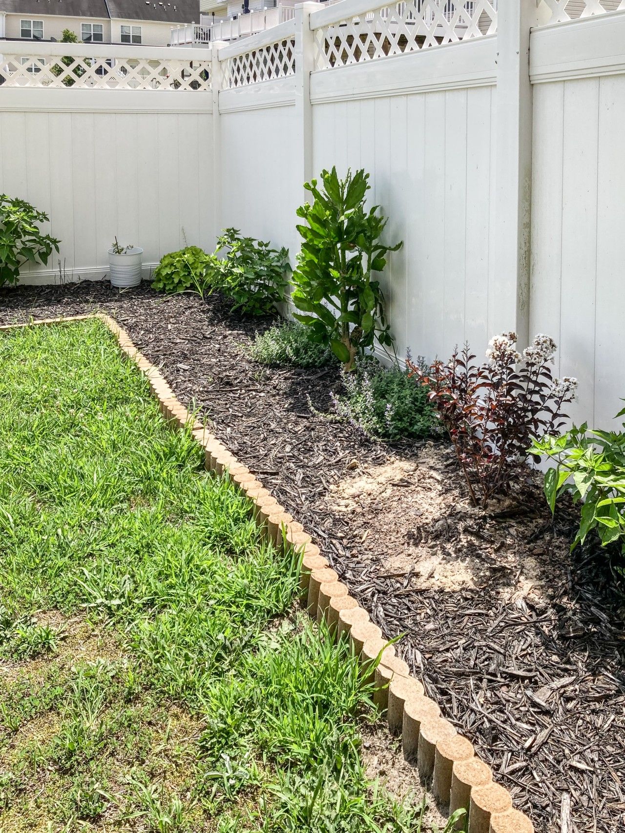 A garden with a wooden border, various plants, and a white fence.