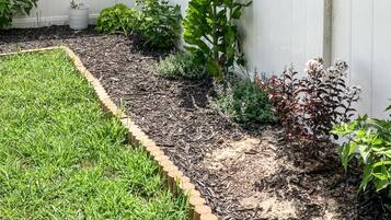 A garden with a wooden border, various plants, and a white fence.