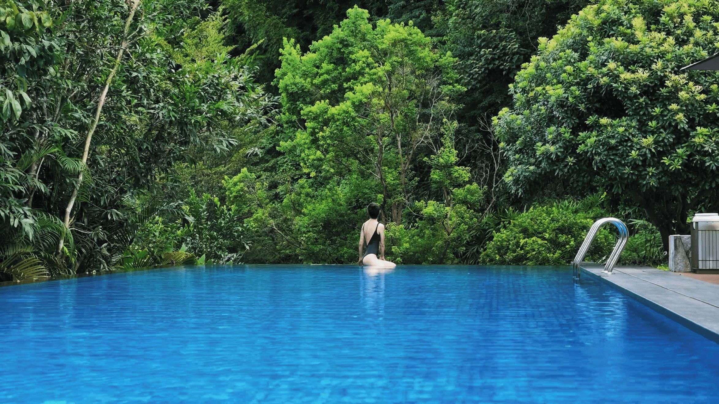 A swimming pool surrounded by lush greenery.