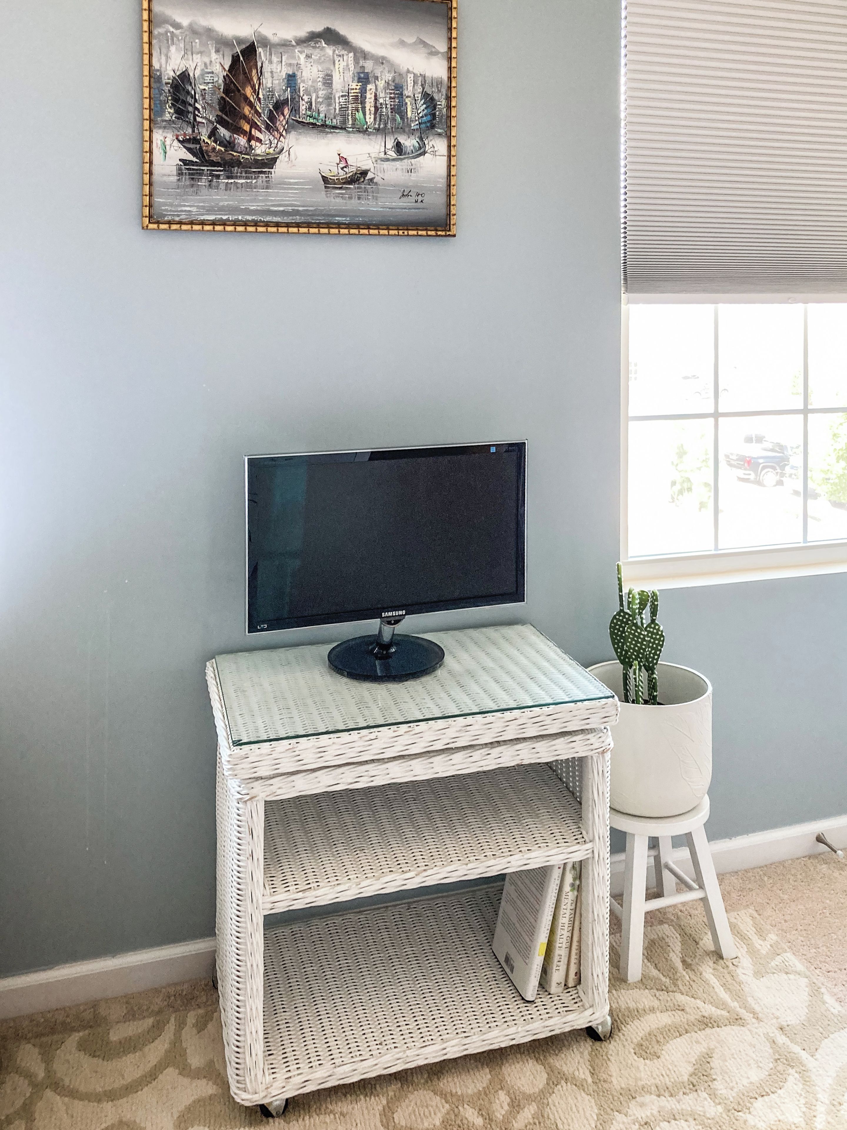Quarto com televisão de tela plana em um suporte de vime branco, uma obra de arte emoldurada acima e um vaso de planta ao lado da janela.
