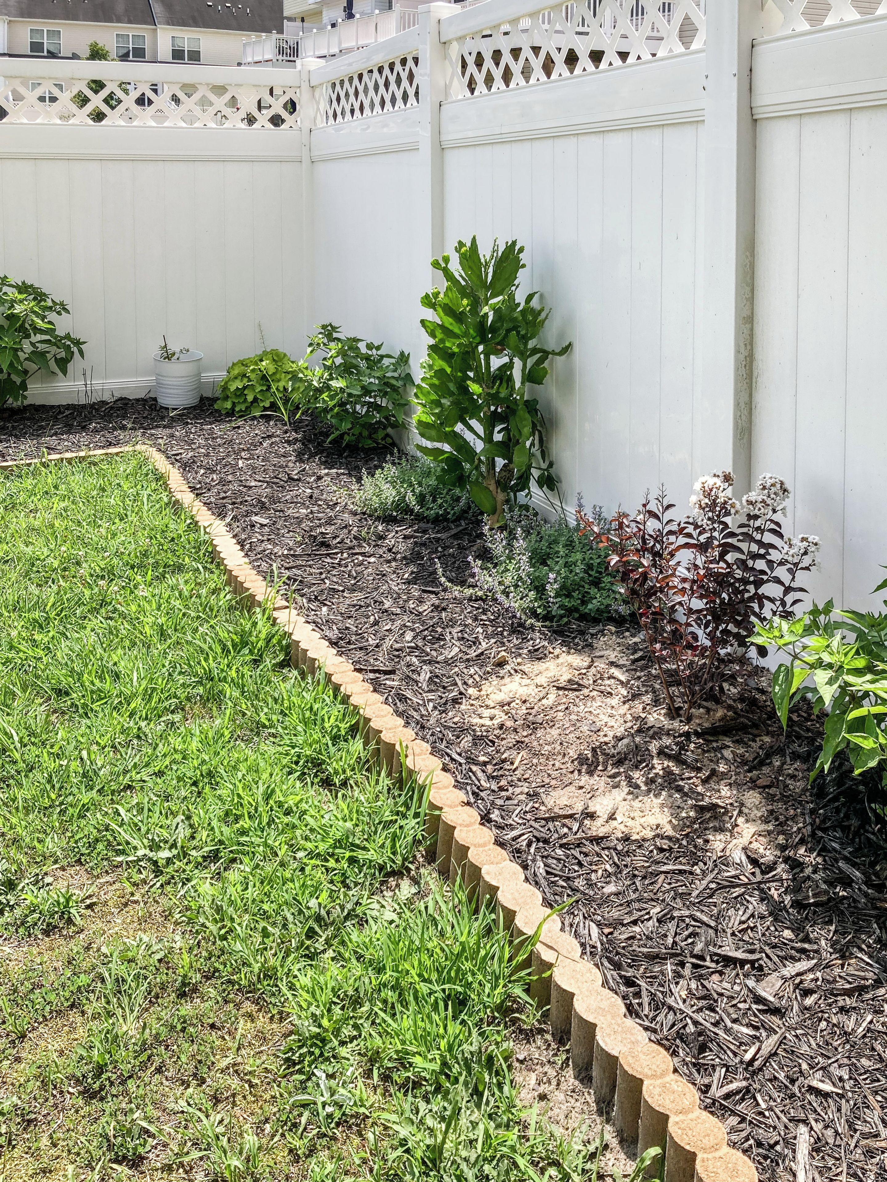 Área de jardim com cerca de madeira, diversas plantas e um muro branco.