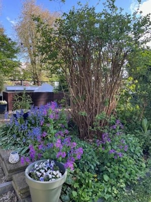 Un jardín con diversas plantas y una estructura de madera.