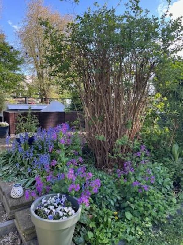 A garden with various plants and a wooden structure.