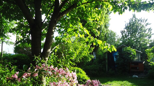 Property grounds - Vrbo Property (Amsterdam)