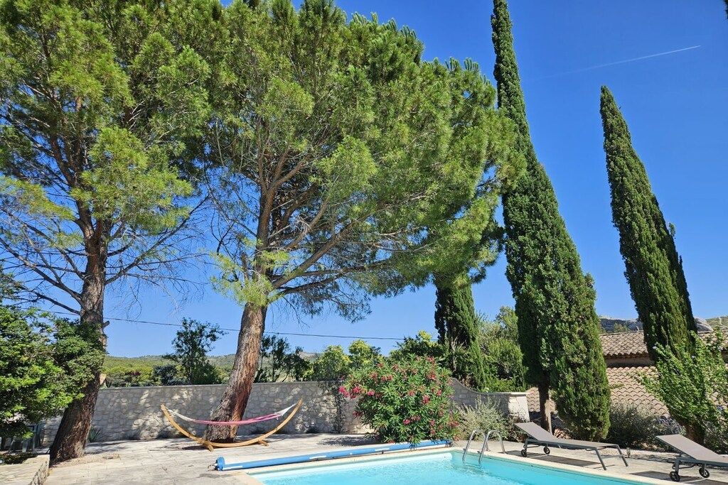 Une piscine avec des chaises longues, un hamac et de grands arbres en arrière-plan.
