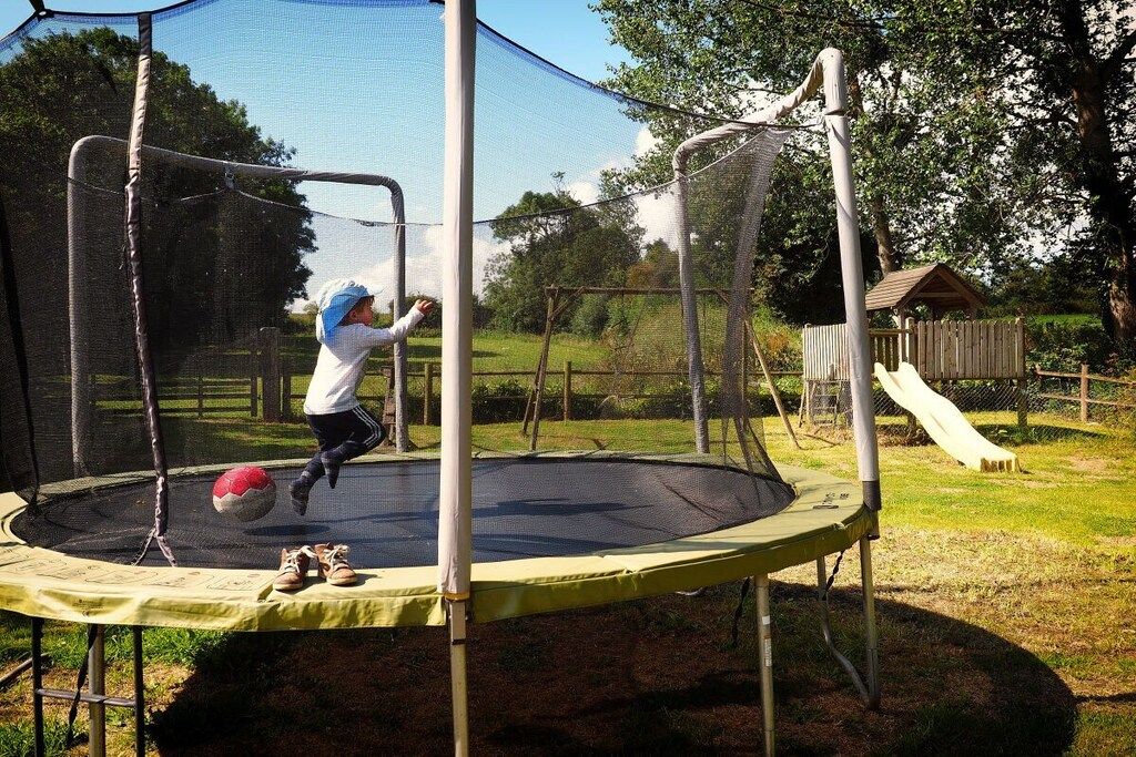 Un trampolín con red de seguridad, rodeado de césped y árboles.