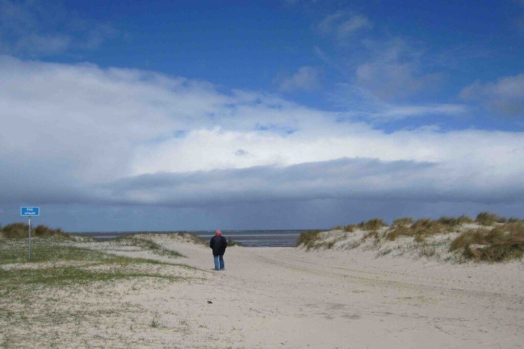 A sandy path leading to a beach with a person walking away from the camera.