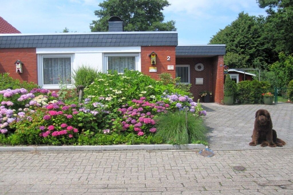 A residential building with a brick facade, numbered '2', and a dog sitting on the driveway.