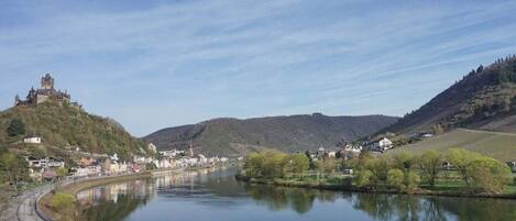 A river with a castle on a hill, surrounded by buildings and greenery.
