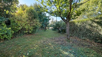 A garden with a variety of trees and shrubs, a grassy area, and a path leading through the greenery.