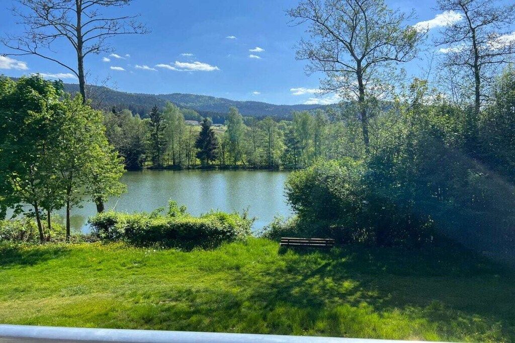 A lake surrounded by trees and a bench in the foreground.