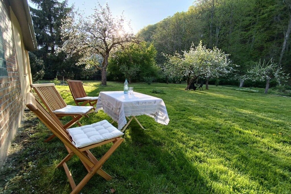 Un patio con una mesa y sillas, rodeado de césped y árboles.