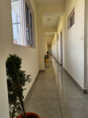 Un pasillo con una planta en maceta, una silla amarilla y una puerta al final.