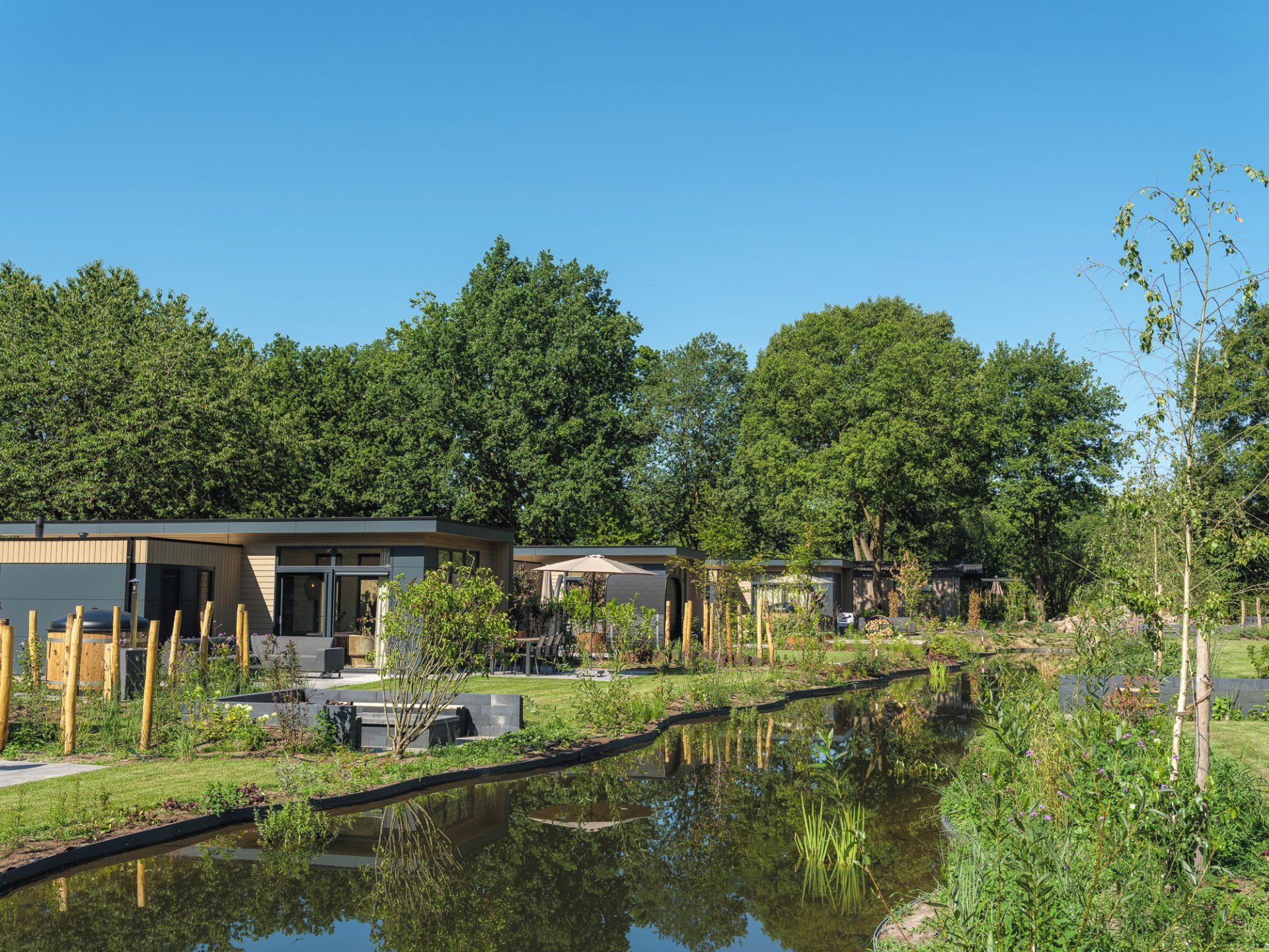 Un bâtiment moderne doté d’une piscine, entouré d’une végétation luxuriante et d’arbres.