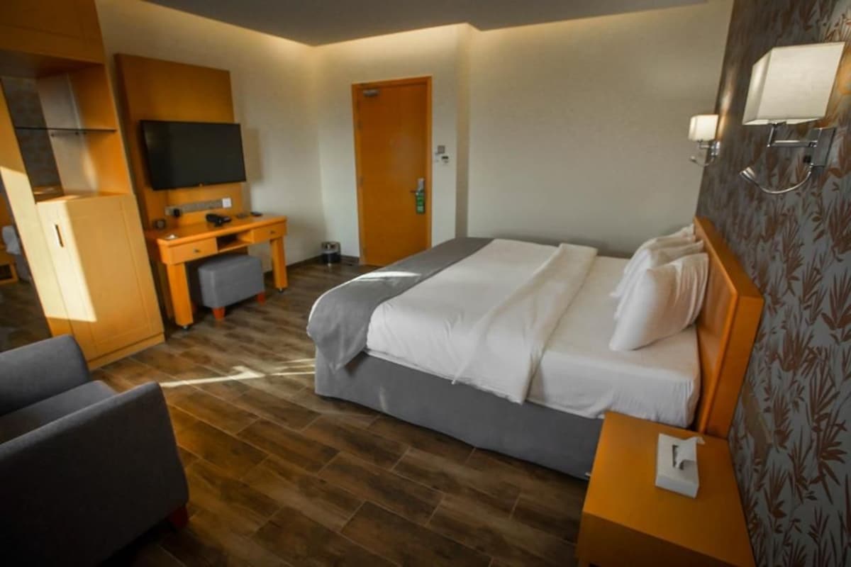 Habitació d'hotel amb un llit, escriptori, televisió i armari.