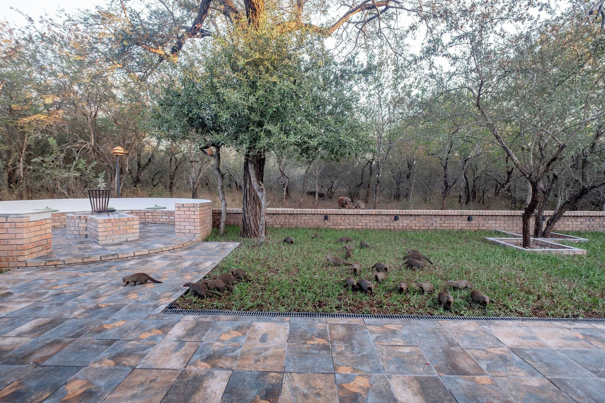 A paved patio area with a brick fire pit and seating, surrounded by a grassy area with a brick wall and trees.