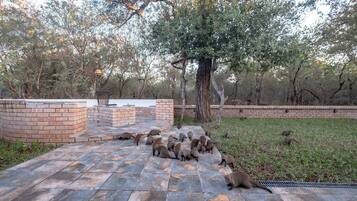 A paved outdoor area with a brick wall and a tree.