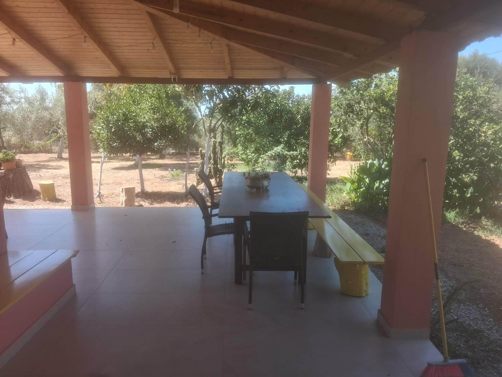 Un patio techado al aire libre con una mesa y sillas, rodeado de árboles y un sendero de tierra.