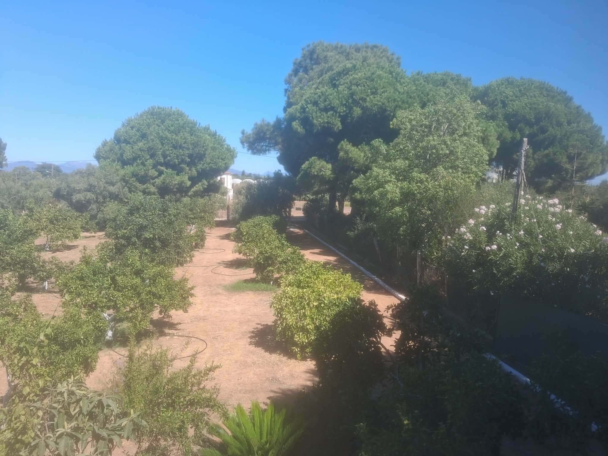 Een onverhard pad dat door een tuin slingert, met verschillende bomen en struiken.