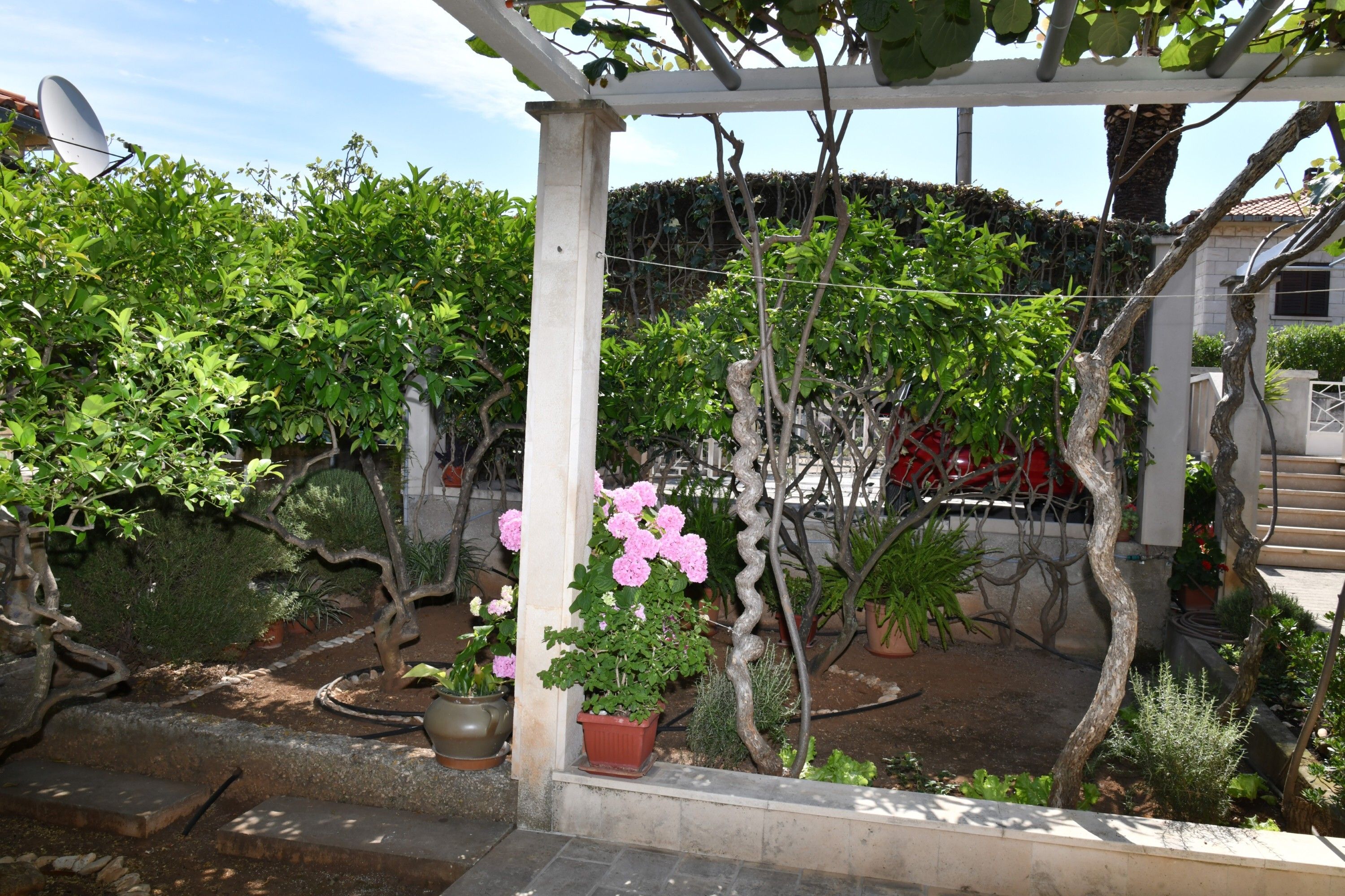 Un jardin agrémenté de différentes plantes en pot et d’une structure en forme de pergola.